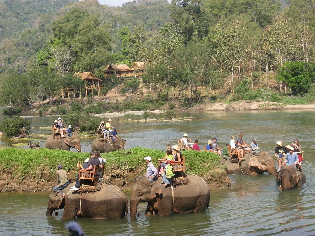 All Lao Elephant Camp in Luang Prabang
