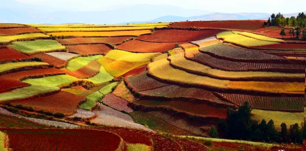 Dongchuan Red Land in Kunming (14)