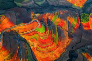 Dongchuan Red Land in Kunming (16)