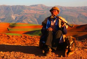 Dongchuan Red Land in Kunming (2)