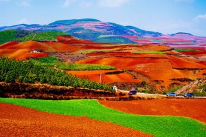 Dongchuan Red Land in Kunming (23)