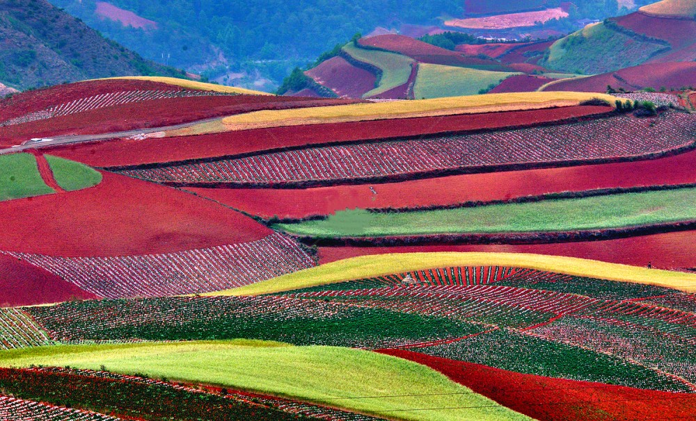 Dongchuan Red Land in Kunming (25)