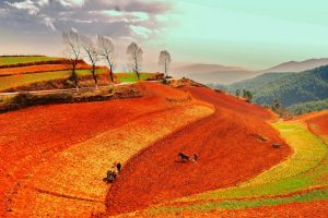 Dongchuan Red Land in Kunming (27)