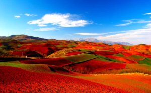 Dongchuan Red Land in Kunming (3)