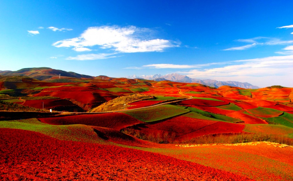 Dongchuan Red Land in Kunming (3)