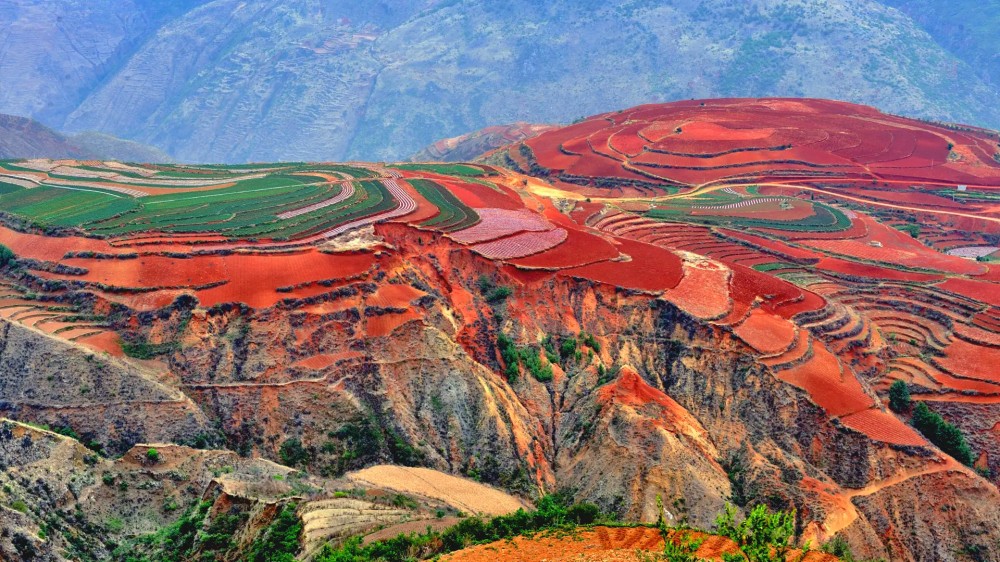 Dongchuan Red Land in Kunming (8)