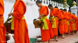 Early Morning Alms Giving to the Monks in Luang Prabang-8
