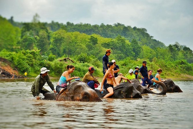Elephant Village Sanctuary & Resort in Luang Prabang