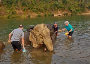 Elephant Village in Luang Prabang