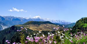 Haba Snow Mountain in Shangri La, Diqing (12)