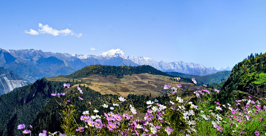 Haba Snow Mountain in Shangri La, Diqing (12)