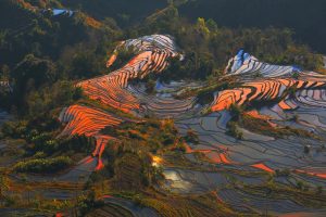 Laohuzui Rice Terraces in Yuanyang, Honghe