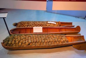 Luang Namtha Province Museum in Laos (22)