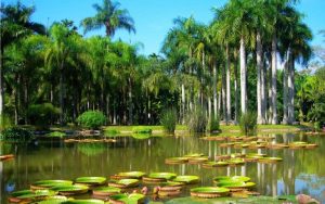 Menglun-tropical-botanical-garden2-732x459