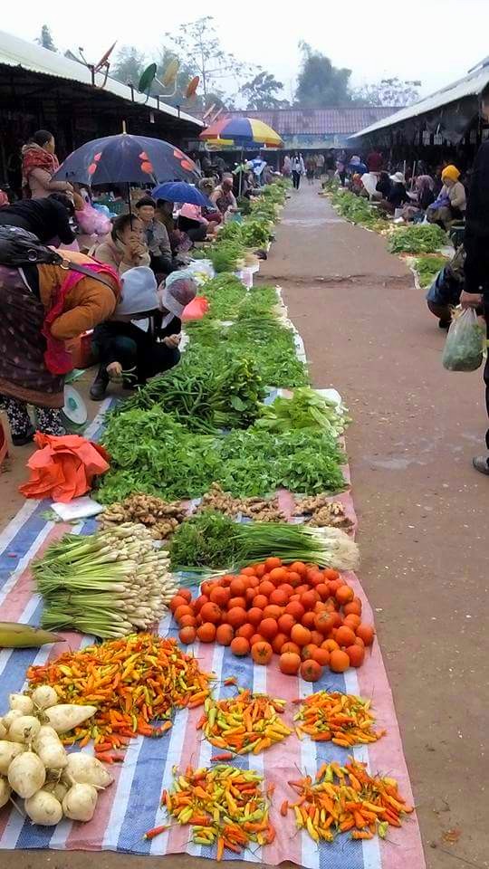 Muang Sing Morning Market in Luang Namtha, Laos (4)