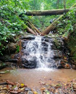 Nam Ha National Protected Area in Luang Nam Tha, Laos (17)