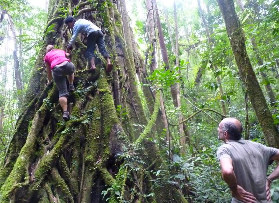 Nam Ha National Protected Area in Luang Nam Tha, Laos (23)