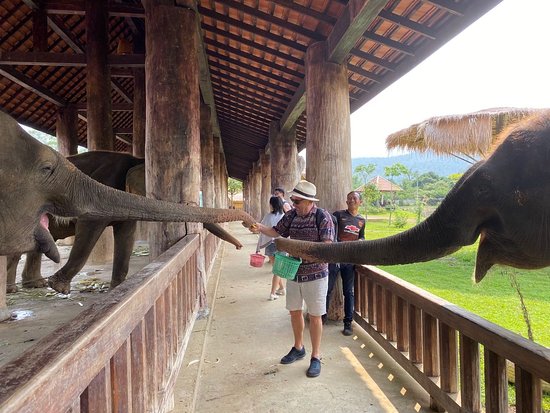 Nam Ou Elephant Farm in Luang Prabang