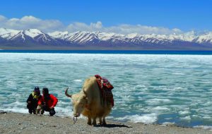Namtso Lake in Tibet (2)