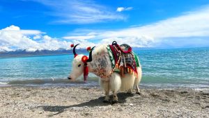 Namtso Lake in Tibet (4)