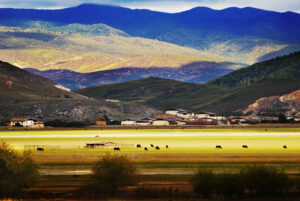 Napahai-Lake-and-Yila-Pasture-in-Shangrila-03