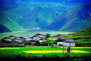 Napahai-Lake-and-Yila-Pasture-in-Shangrila-21