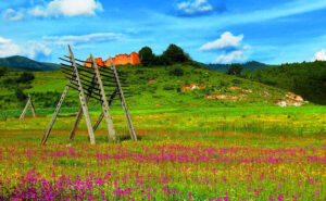Napahai-Lake-and-Yila-Pasture-in-Shangrila-22