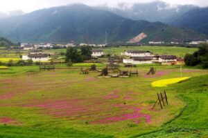 Napahai-Lake-and-Yila-Pasture-in-Shangrila-32