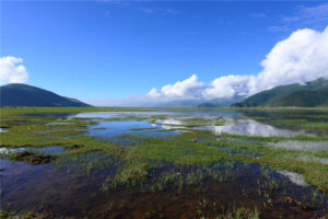Napahai-Lake-and-Yila-Pasture-in-Shangrila-38
