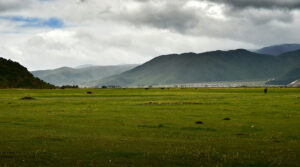 Napahai-Lake-and-Yila-Pasture-in-Shangrila-40