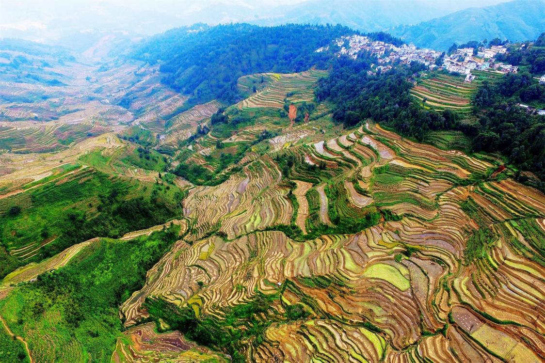 Samaba Rice Terraces in Honghe County, Honghe