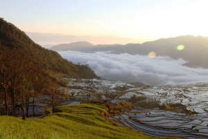 Samaba Rice Terraces in Honghe County4