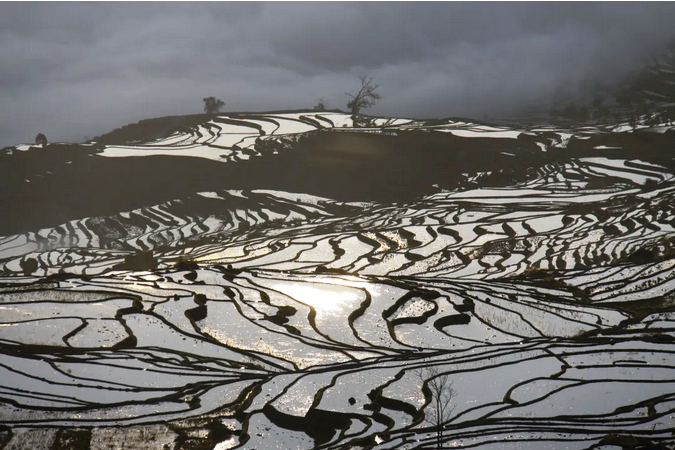 Samaba Rice Terraces in Honghe County5