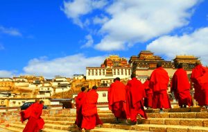 Songzanlin Monastery in Shangri La, Diqing (11)