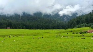 Spruce Meadow Cableway of Jade Dragon Snow Mountain in Lijiang (17)