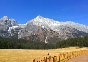 Spruce Meadow Cableway of Jade Dragon Snow Mountain in Lijiang (3)