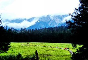Spruce Meadow Cableway of Jade Dragon Snow Mountain in Lijiang (7)