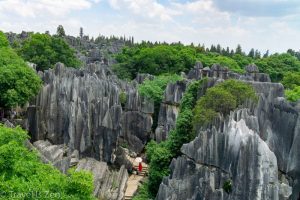 The Stone Forest in Kunming (15)