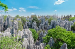 The Stone Forest in Kunming (3)