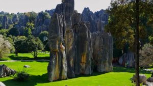 The Stone Forest in Kunming (7)