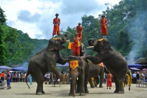 Wild Elephant Valley in Jinghong, XishuangBanna