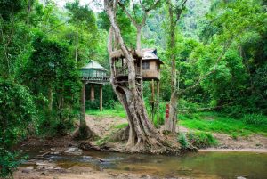 Xishuangbanna-Wild-Elephant-Valley-Nature-Reserve-01