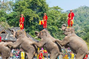 Xishuangbanna-Wild-Elephant-Valley-Nature-Reserve-06