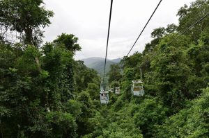 Xishuangbanna-Wild-Elephant-Valley-Nature-Reserve-10