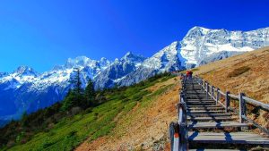 Yak Meadow of Jade Dragon Snow Mountain in Lijiang (11)