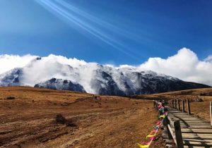 Yak Meadow of Jade Dragon Snow Mountain in Lijiang (12)