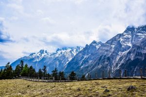 Yak Meadow of Jade Dragon Snow Mountain in Lijiang (13)
