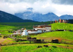 Yak Meadow of Jade Dragon Snow Mountain in Lijiang (18)