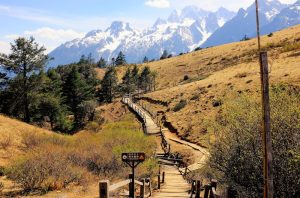 Yak Meadow of Jade Dragon Snow Mountain in Lijiang (3)