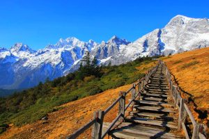 Yak Meadow of Jade Dragon Snow Mountain in Lijiang (4)